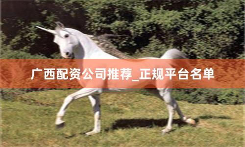 广西配资公司推荐_正规平台名单